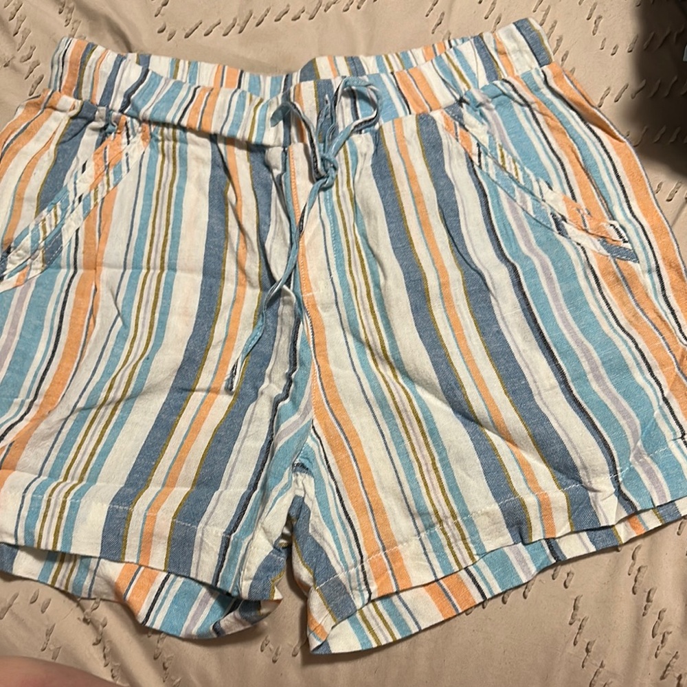 Briggs New York Multicolor Striped Women's Shorts